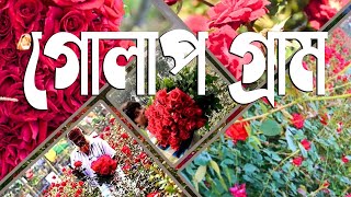 গোলাপ গ্রামে একদিন | গোলাপ গ্রামে সরাসরি ঘুরে দেখুন | বাংলাদেশের প্রাকৃতিক সৌন্দর্যের রত্ন