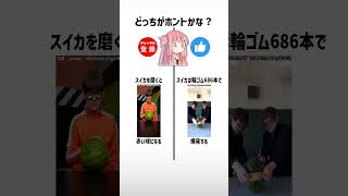 食べ物雑学クイズ左右どっち？part563【琴葉茜/琴葉葵】#shorts