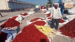 7 May 2024 कुक्षी अंबाडा मिर्ची मंडी भाव || Red chilli Rate Today || kukshi Mirchi Mandi Bhav Today