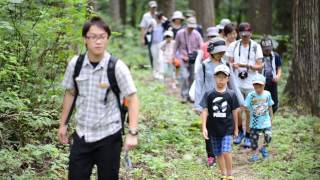 朝の森の散歩ご案内の様子