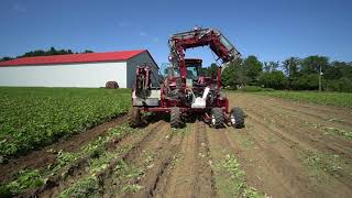 Carrot harvester / Récolteuse à carotte / G3-PRO - Univerco