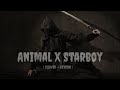 Animals x Starboy | Full Version | Aviral Kapasia | Slowed+Reverb