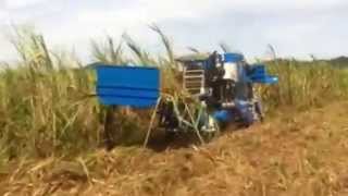 Sugarcane harvester from China