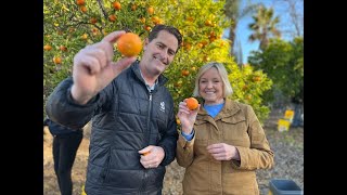 Senior Gleaners save 220,000 pounds of fruit from waste to feed San Diego's hungry