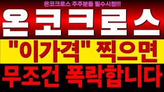 [온코크로스 주가전망] \