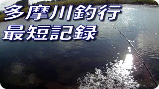 【多摩川 バス釣り】わずか2投目でヒットしたスモールマウスバス（小バスだけど）は自己最短記録でした【ヒジリ釣行記 】