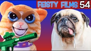 Feisty Films Ep. 54: Cat Tries to Terminate Dog!