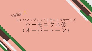 【VIPメンバー限定動画#114】ハーモニクス(オーバートーン)③｜良い音の出し方は良い音を作る元になるアンブシュアから、正しいアンブシュアを得るためのエクササイズ【保存版】