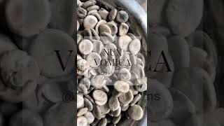 Strychnos Nux-Vomica | Kuchla Beej | कुचिला | Mushti | Kanjirai | Kariram | Kochila |Etti #jayherbs