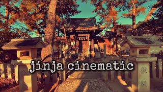 cinematic jinja // 4K #cinematic #castle #yogieokazaki