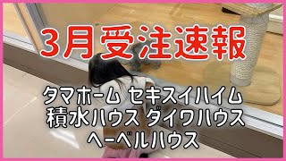 【3月受注速報】メーカーによって明らかな差が・・・ タマホーム セキスイハイム 積水ハウス ダイワハウス ヘーベルハウス 注文住宅