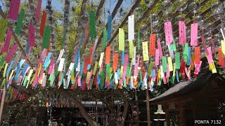 【旅：如意輪寺(通称かえる寺)】風鈴の音色　福岡県小郡市