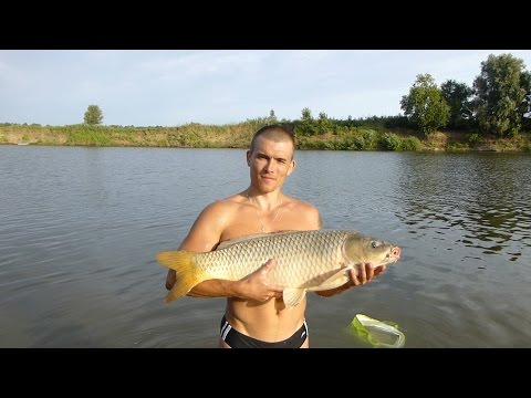 Ловля сазана на Ахтубе осенью Ловля сазана на Ахтубе осенью