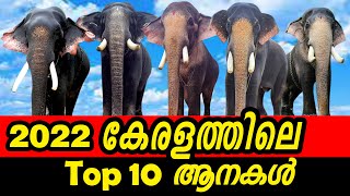 പാമ്പാടി രാജൻ  TOP 10 ELEPHANT IN KERALA 2022#കേരളത്തിലെഉയരംകൂടിയ10ആനകൾ #🐘🐘🐘