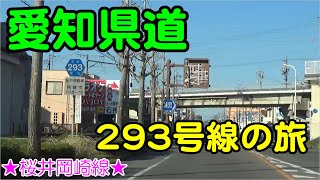 【愛知県道】愛知県道293号線の旅ー桜井岡崎線ー