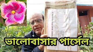 onlinenursery, Hibiscus for you থেকে কেনা ট্রপিক্যাল জবার Unboxing