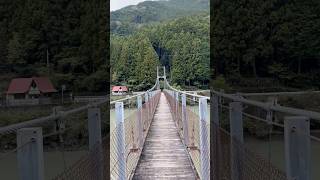 Thrilling Adventures  #hangingbridge #nature #shortvideo #shorts