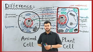 Difference between plant cell and animal cell | Comparison between plants cells and animals cells
