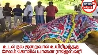 உடல் நல குறைவால் உயிரிழந்தது சேலம் கோவில் யானை ராஜேஸ்வரி