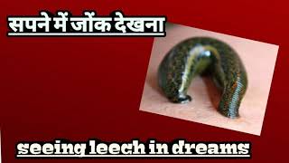 सपने में जोंक देखना।seeing leeches in dreams