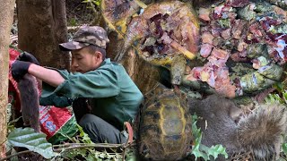 Thăm bẫy chúng hàng khủng, Săn ch.i.m theo đường đi một ngày bội thu - Kiếm ăn trong rừng