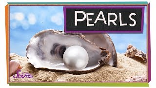 Where Do Pearls Come From?