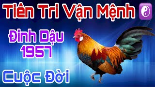 Tiên Tri Tiết Lộ - Đinh Dậu Sinh 1957 -  Từ Đây Đổi Đời, Hưởng Lộc Trời Ban, Viên Mãn Đến Cuối Đời!