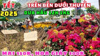 TRƯA 26 TẾT: DÒNG NGƯỜI LIÊN TỤC ĐỔ VỀ CHỢ HOA XUÂN, NHÀ VƯỜN BÁN SỔ HOA GIẤY, MAI RẺ ĐẾN KHÓ TIN