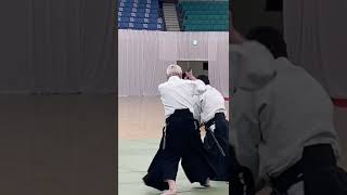 Daito-ryu Aikijujutsu / 45th Nippon Budokan Kobudo Taikai / Shihonage (kenjutsu)