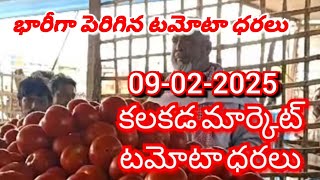 కలకడ 🍅🍅🍅 టమాటో మార్కెట్ ధరలు ||ఈరోజు టమోటో ధర || 09-02-2025#kalakada Market||@ckgowthamvlogs