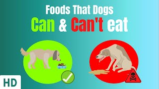 Foods That Dogs Can And Can't Eat