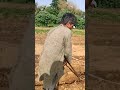 Proper and natural way of ploughing