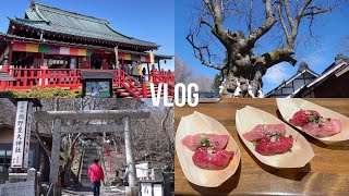 [vlog] 1泊2日　旅行vlog in 長野.群馬　1 night 2 days trip vlog in Nagano. Gunma