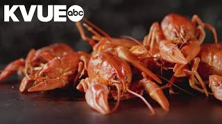 Crawfish prices expected to drop this season