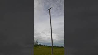 The Raptor Perch