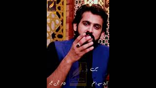 Sad Poetry Saeed Aslam | Voice of Saeed Aslam | New Punjabi Shayari Whatsapp Status And TikTok