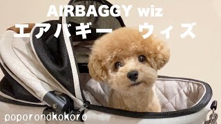 購入品紹介エアバギーウィズAIRBAGGY 最新型ペットカートがやってきた