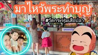 น้องหมูแดง มาไหว้พระทำบุญที่วัดกระทุ่มเสือปลา ติดตามรับชมได้เลยครับ...