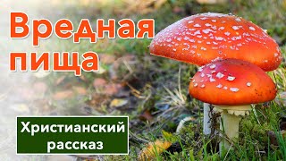 🔴 Вредная пища - ИНТЕРЕСНЫЙ ХРИСТИАНСКИЙ РАССКАЗ | Христианские рассказы