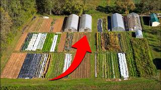 What Farm to Table Really Looks Like