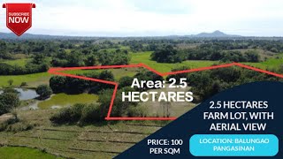 (V127) 2.5 HECTARES, FARMLOT, PRICE 100 PER SQM, LOCATION BALUNGAO PANGASINAN, WITH AERIAL VIEW