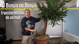 The Bunjin no Bunjin. Transformation of a yew tree