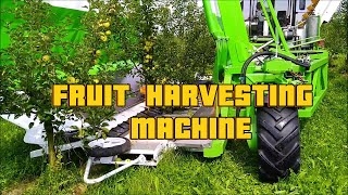 Modern Technology In Agriculture Using Automatic Fruit Harvesting: Apples, Tomatoes, Grapes, ...