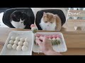 Homemade Japanese Dumplings (Dango)