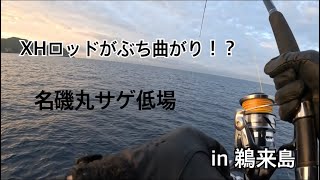 ロックショアモンスターを狙え！in 鵜来島『Day2』