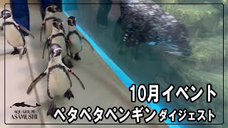 ペタペタペンギンのダイジェスト