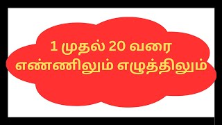 Numbers in Tamil 1 to 20 | எண்கள் 1 முதல் 20 வரை | Little Cute Babies