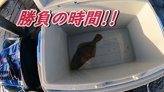 【年間200日以上釣りに出掛けてるリアルな釣り動画】浜名湖釣り 朝まずめ勝負の時間、ヒラメを狙ってみた。