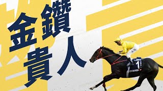 【2024 最受歡迎馬匹及騎師選舉】候選馬匹 – 金鑽貴人