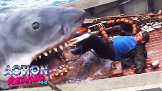 Every Single Shark Scene From Jaws (1975) | Action Rewind